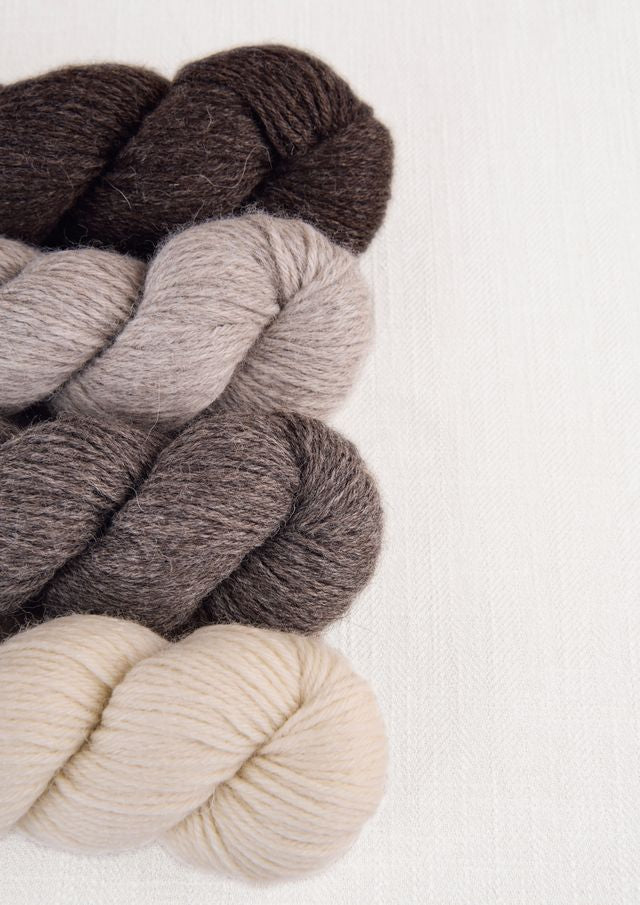 Sheepsoft Aran Yarn - Frankie’s British Yarn